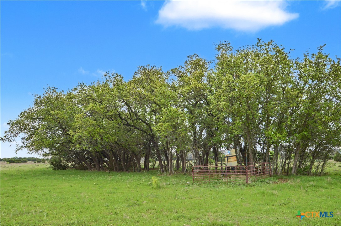 1312 Fm 581 Highway Property Photo 37