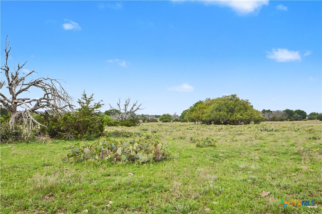 1312 Fm 581 Highway Property Photo 41