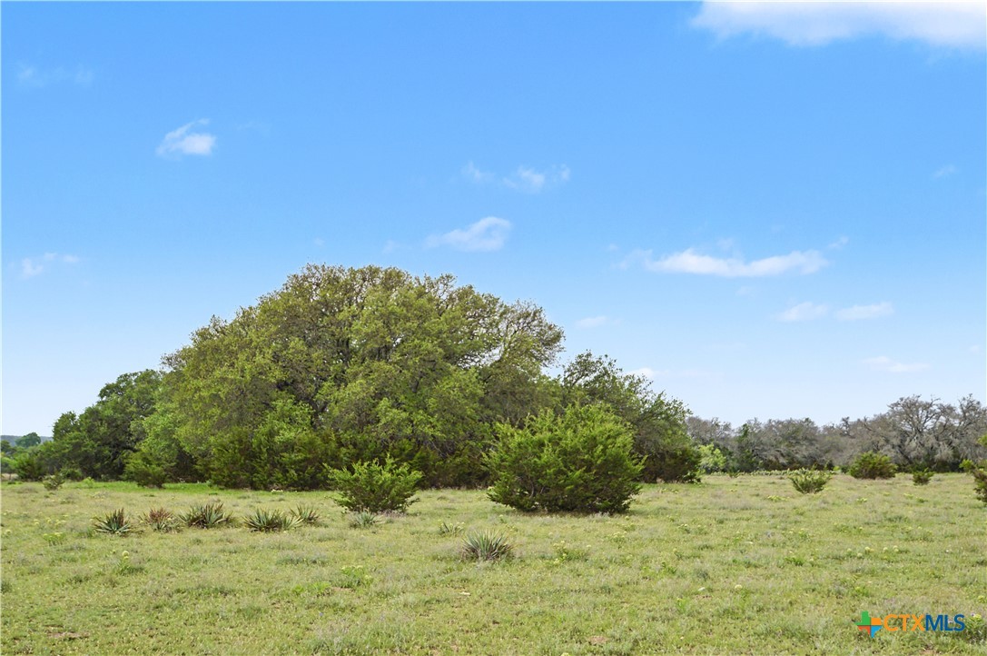 1312 Fm 581 Highway Property Photo 42