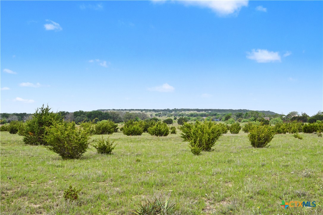 1312 Fm 581 Highway Property Photo 43