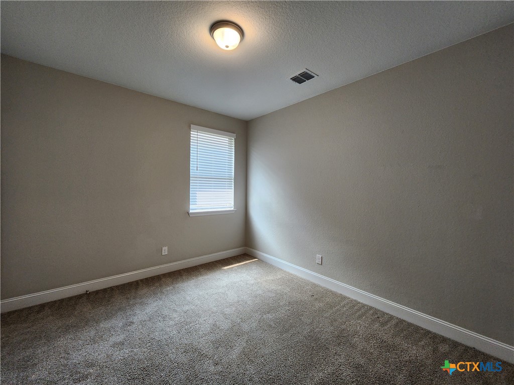 1331 Gruene Glen Property Photo 25