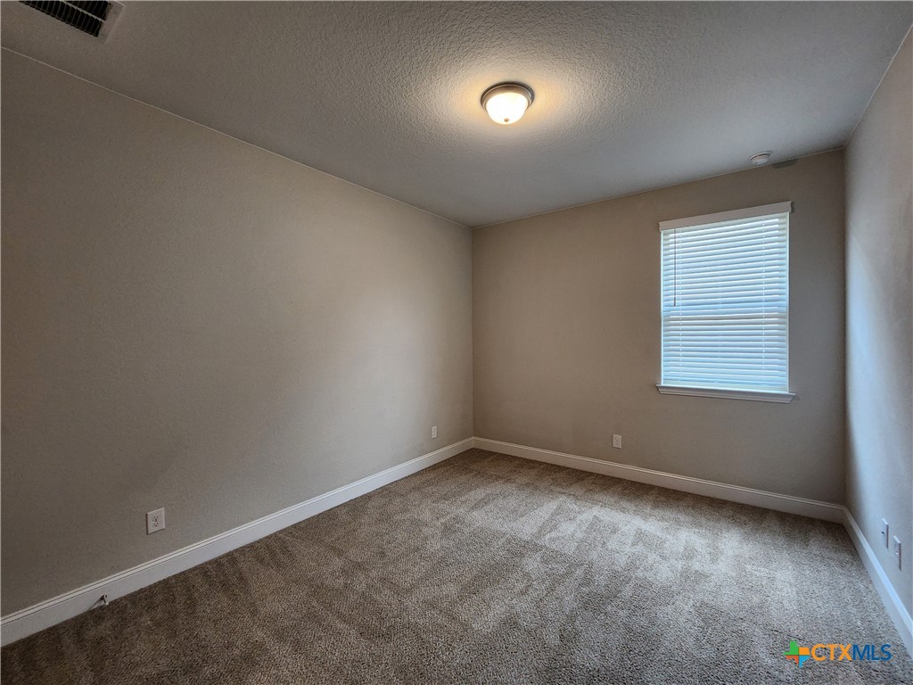 1331 Gruene Glen Property Photo 27