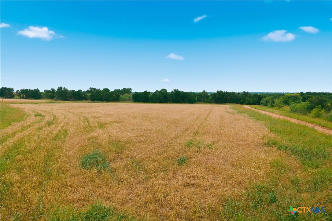 0 Tbd Fm 1915 Property Photo 11