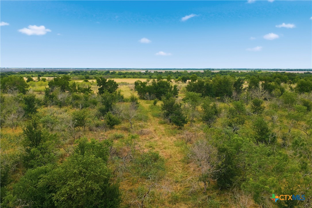 0 Tbd Fm 1915 Property Photo 12