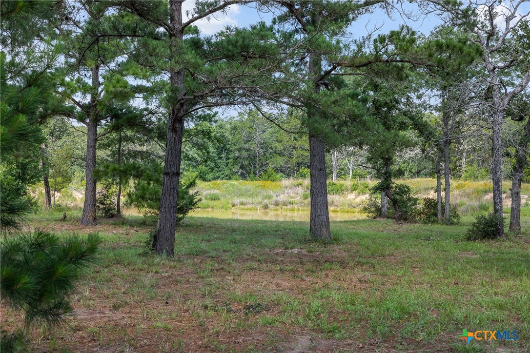 305 Cistern Road Property Photo 1