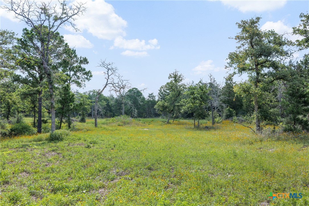 305 Cistern Road Property Photo 5