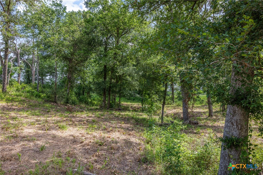 305 Cistern Road Property Photo 7