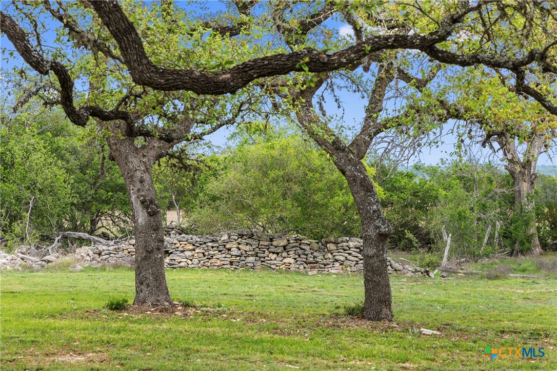 7503 E Us Hwy 290 Property Photo 25