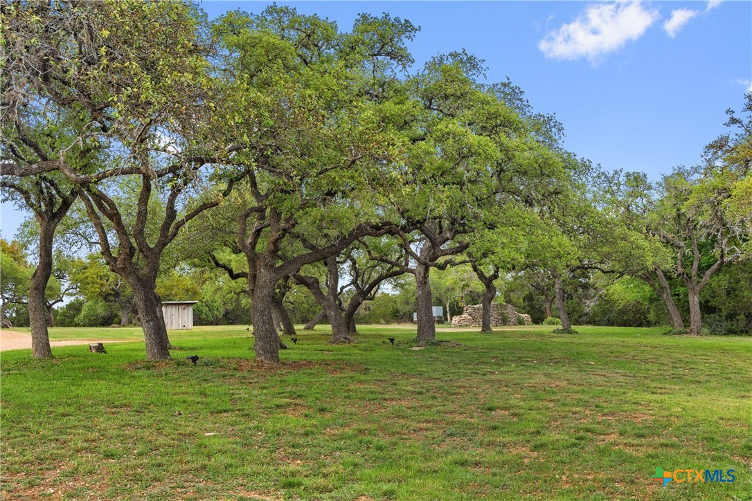 7503 E Us Hwy 290 Property Photo 26