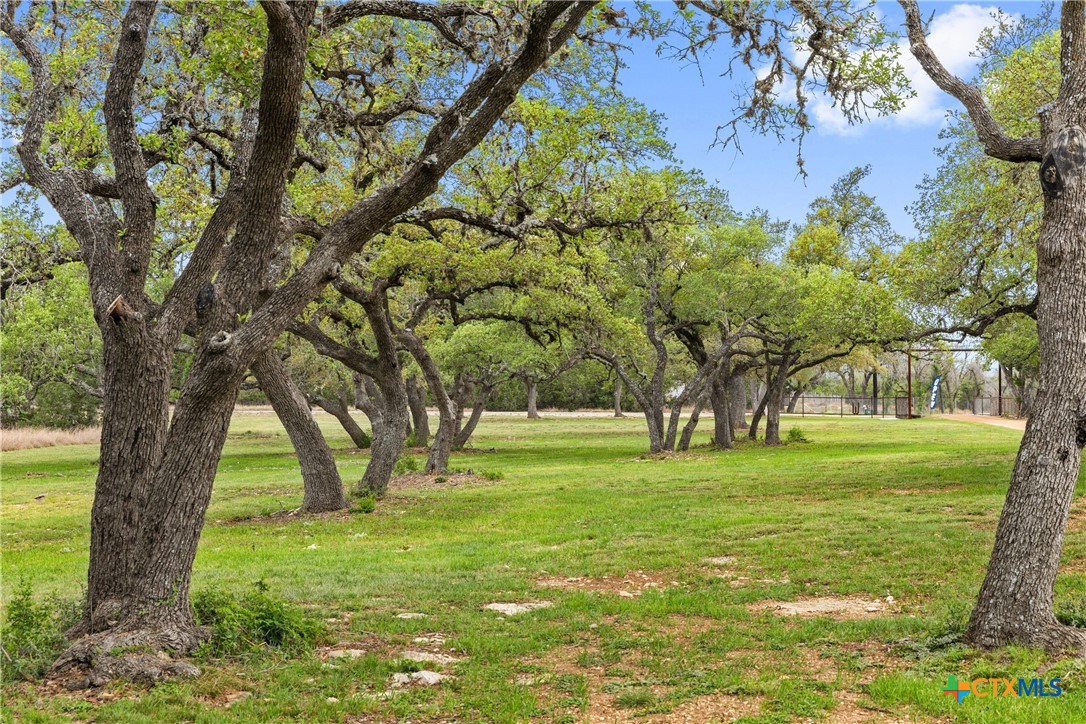 7503 E Us Hwy 290 Property Photo 30