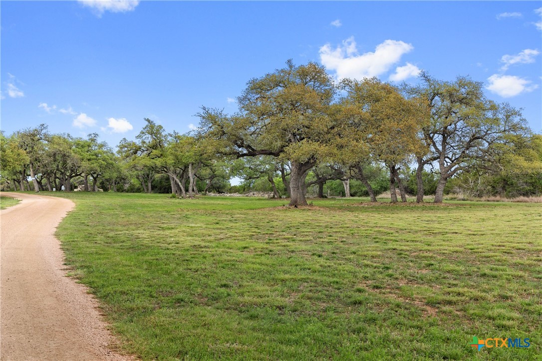 7503 E Us Hwy 290 Property Photo 33