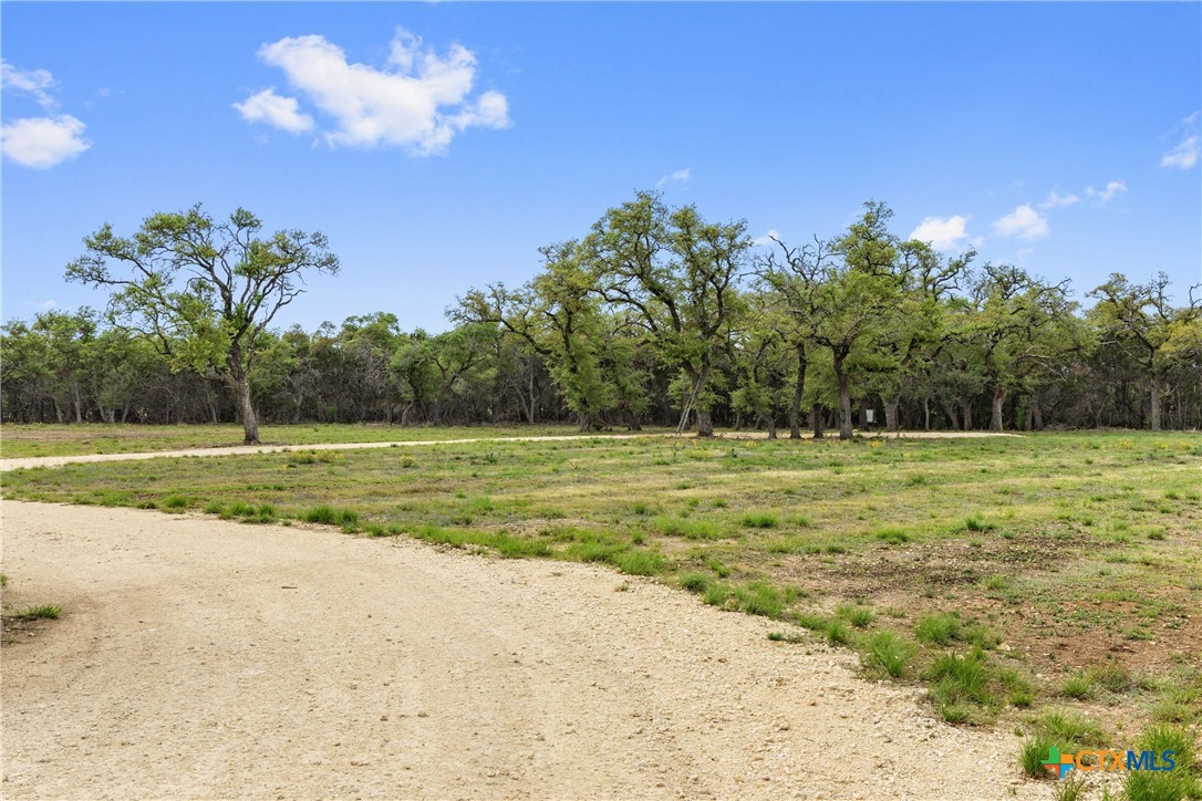 7503 E Us Hwy 290 Property Photo 34