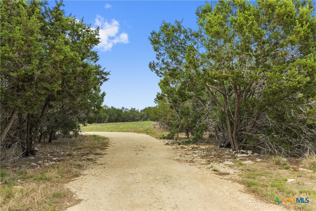 7503 E Us Hwy 290 Property Photo 37