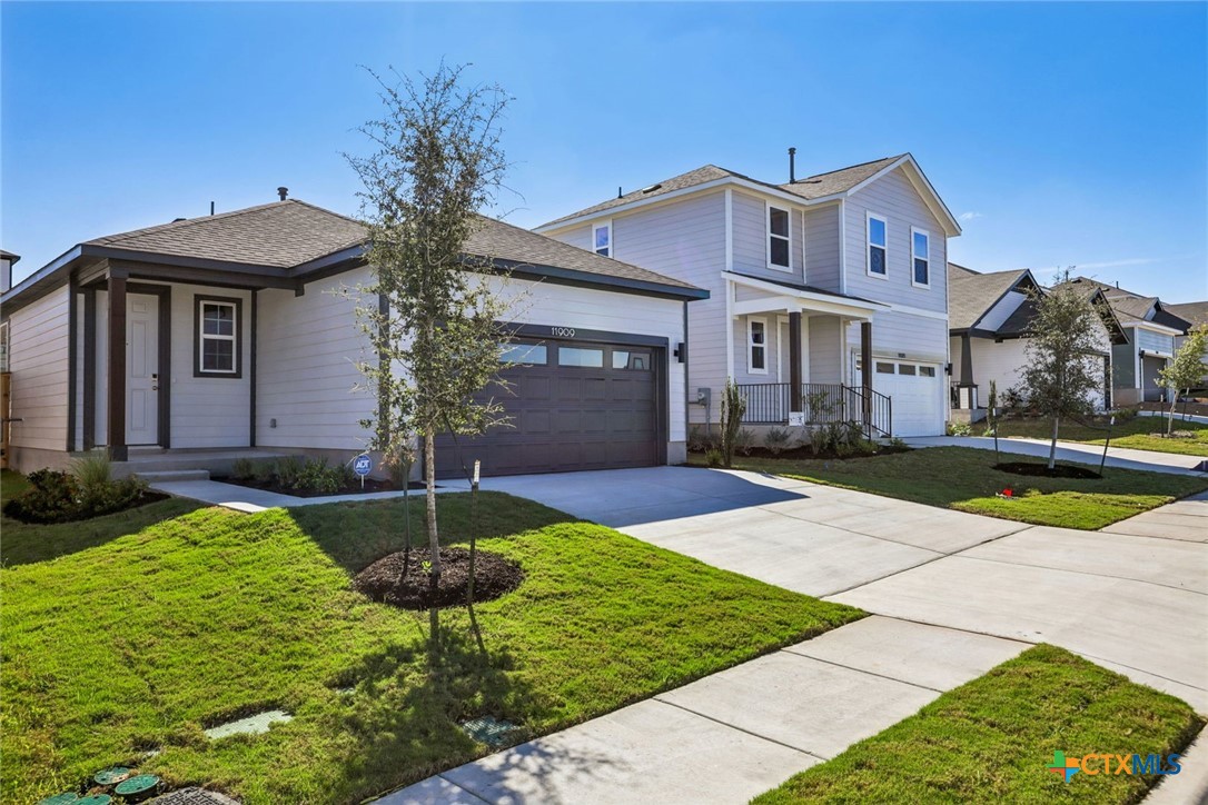 11909 Murano Drive Property Photo 4