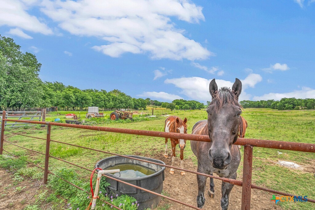 1176 Blue Cut Road Property Photo 24