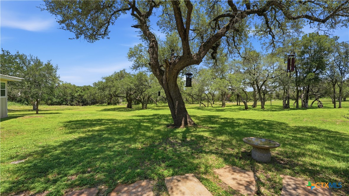 2694 Fm 2722 Property Photo 11