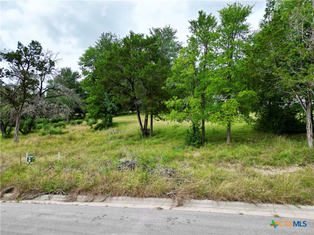 521 25th Avenue Property Photo 3