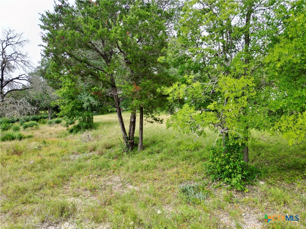 521 25th Avenue Property Photo 4