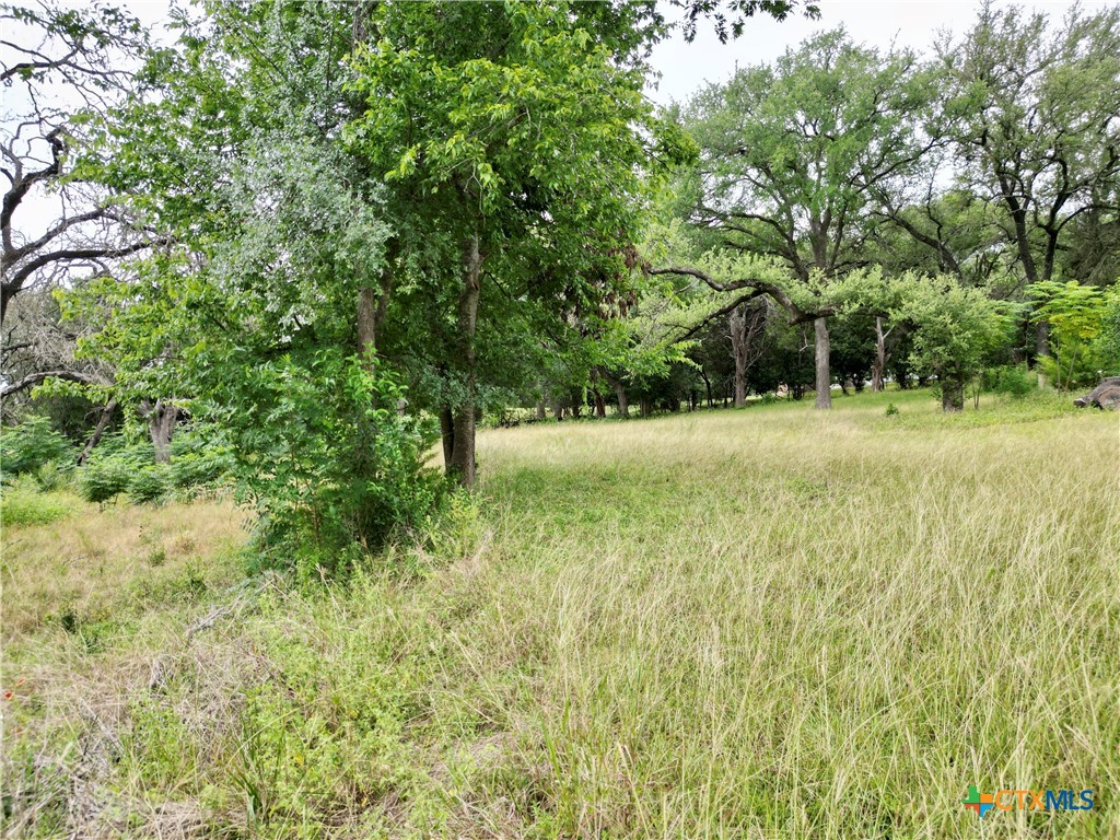 521 25th Avenue Property Photo 5