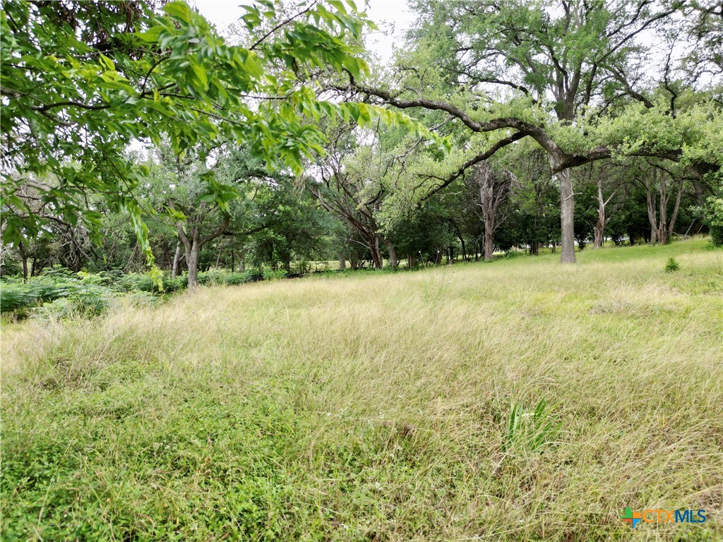 521 25th Avenue Property Photo 6