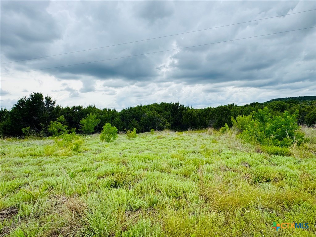 1780 County Road 147 Property Photo 2