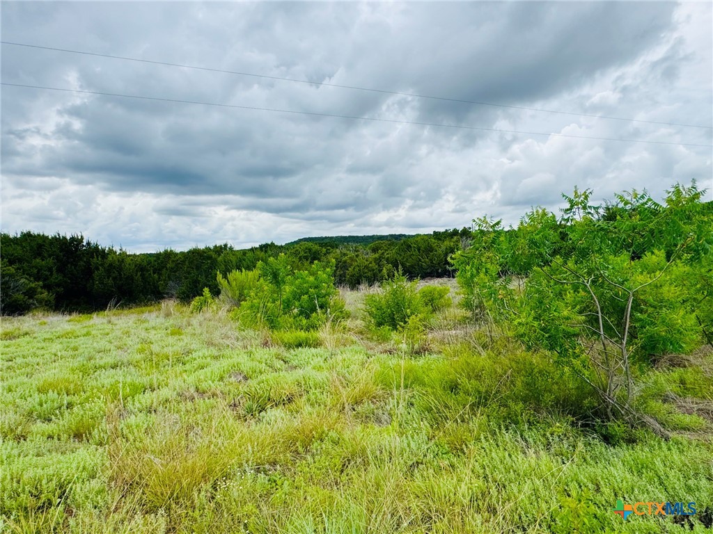 1780 County Road 147 Property Photo 3