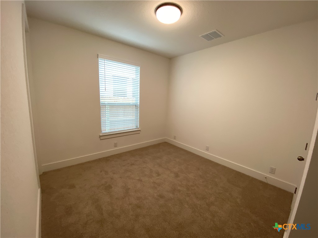1032 Easy Gruene Property Photo 17