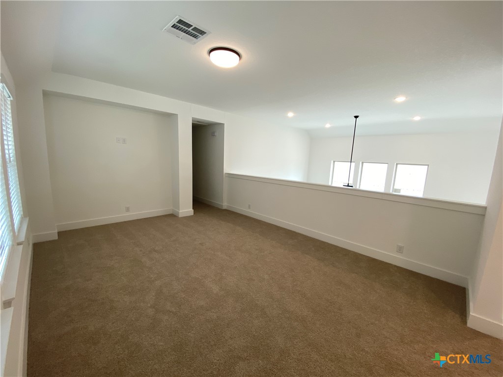 1032 Easy Gruene Property Photo 20