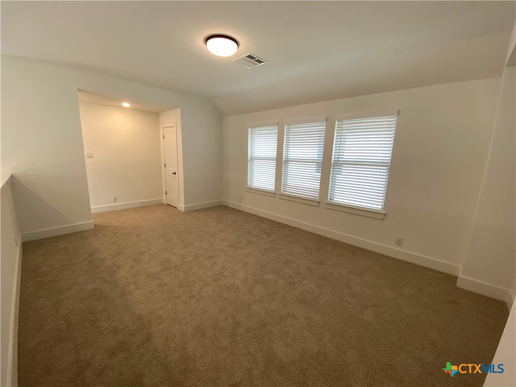 1032 Easy Gruene Property Photo 22