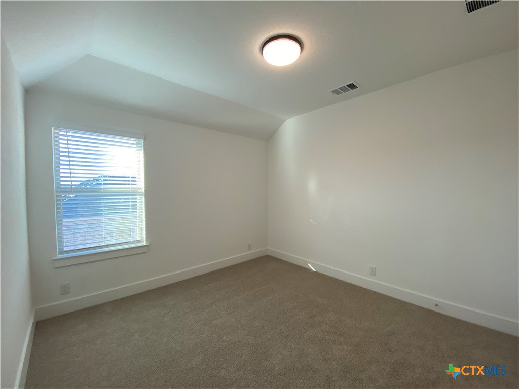 1032 Easy Gruene Property Photo 29