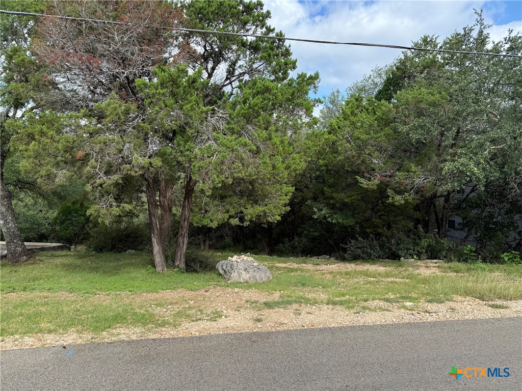295 Nancy Drive Property Photo 2