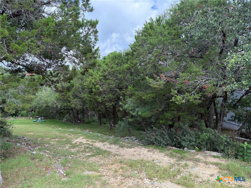 295 Nancy Drive Property Photo 3