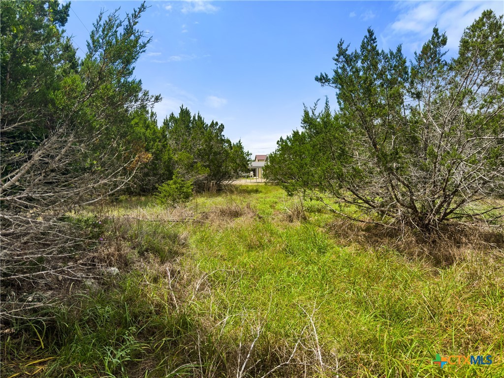 541 Henderson Drive