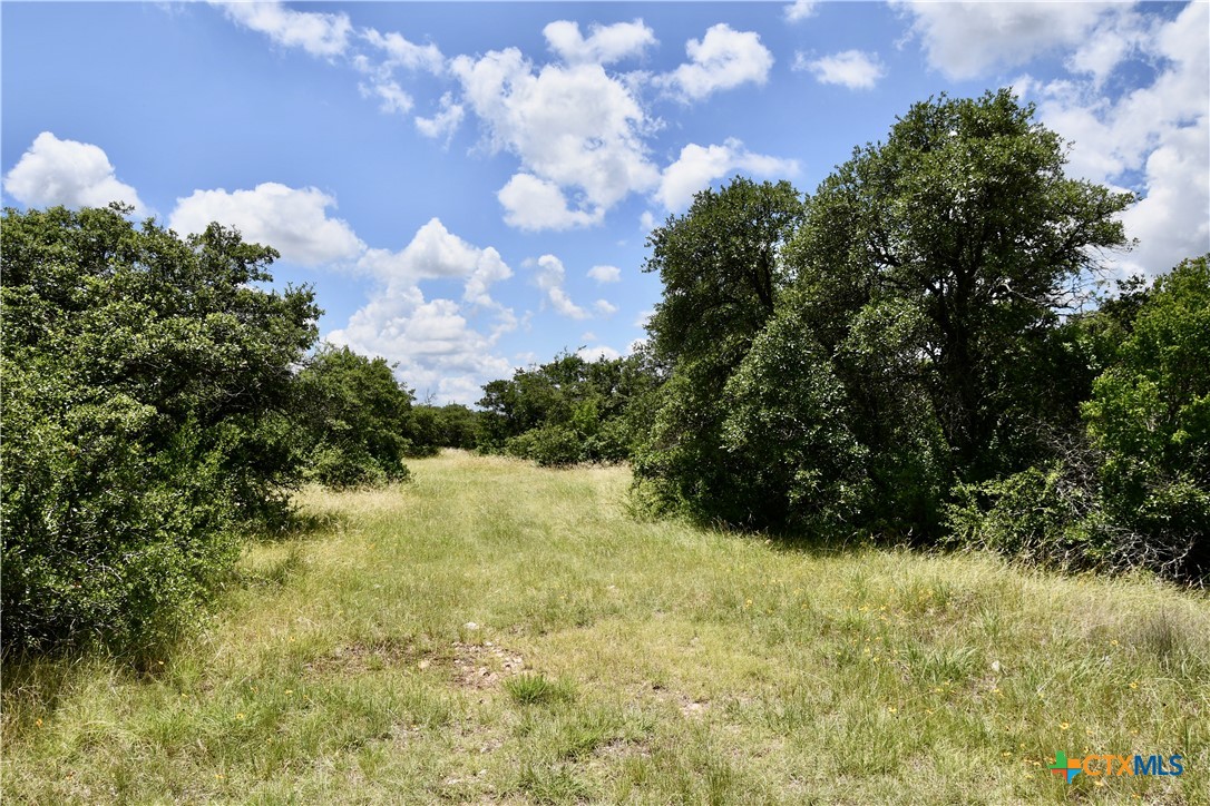 16967 Cr 290 Property Photo 40