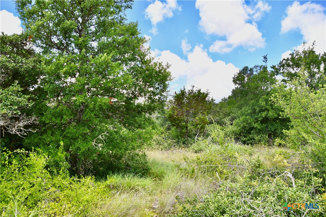 16967 Cr 290 Property Photo 43