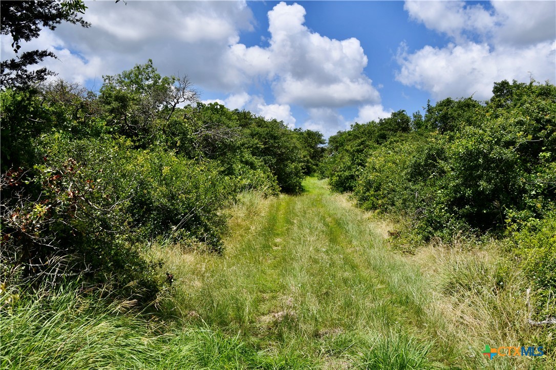 16967 Cr 290 Property Photo 45