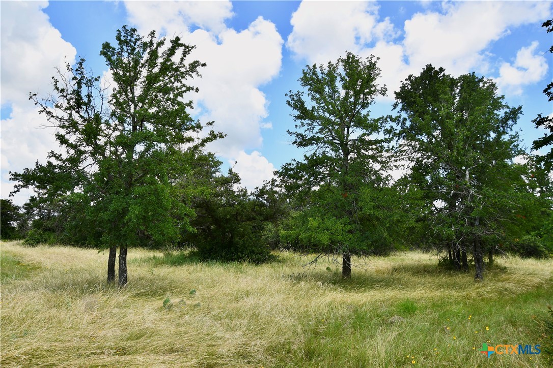 16967 Cr 290 Property Photo 46