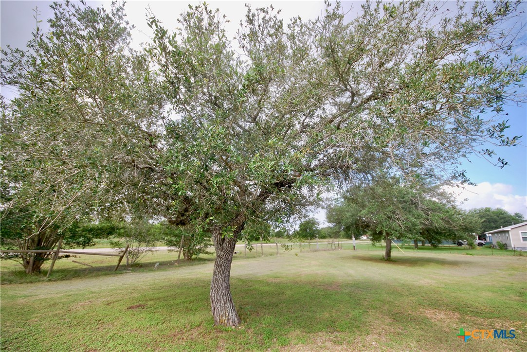 486 County Road 95d Property Photo 21