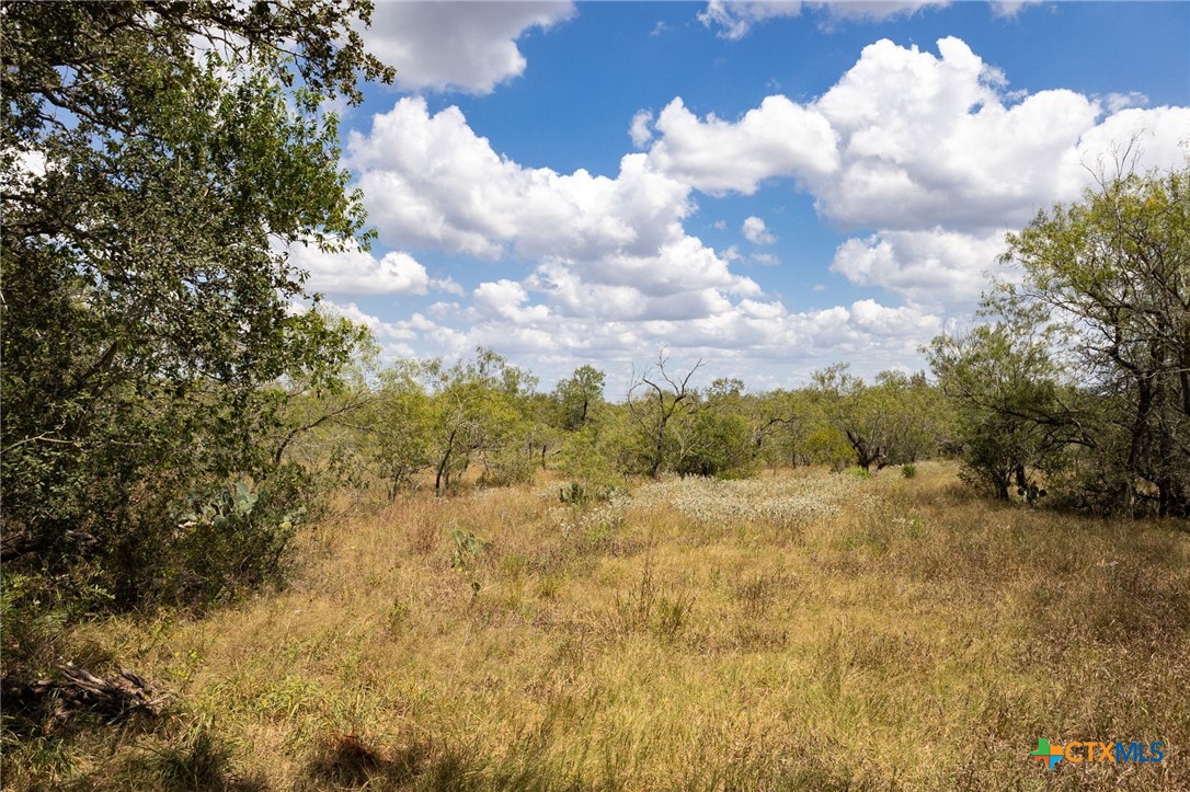 211 Halm Road Property Photo 1
