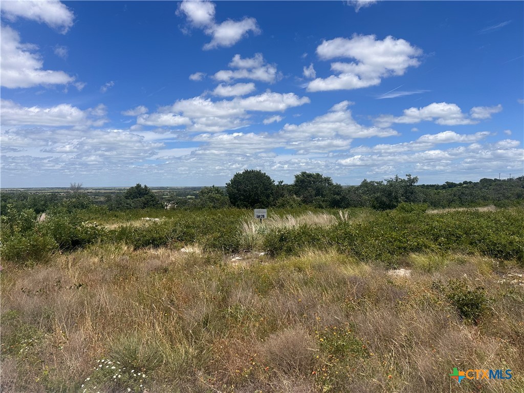 LOT 29 County Road 511 Property Photo 1