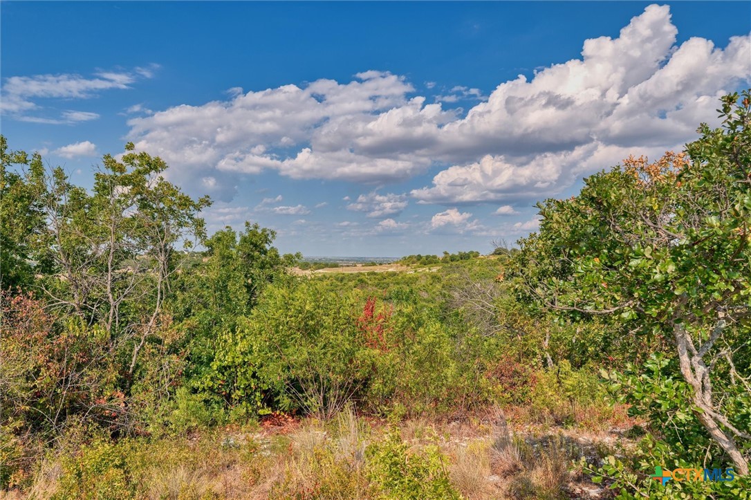 Lot 29 County Road 511 Property Photo 2