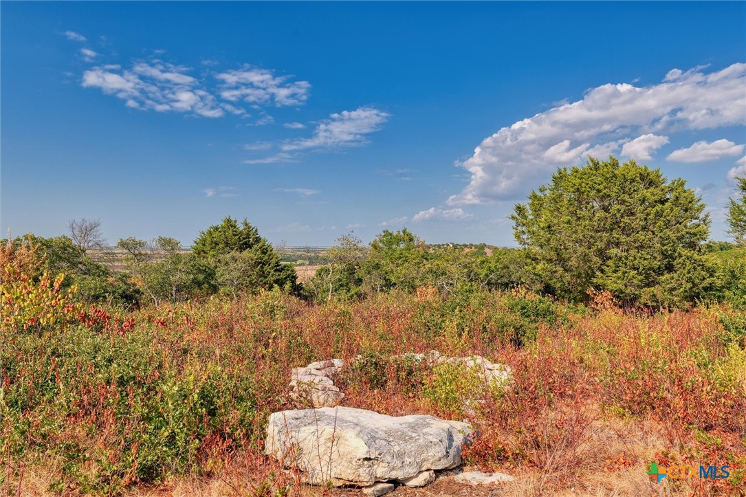 Lot 29 County Road 511 Property Photo 4