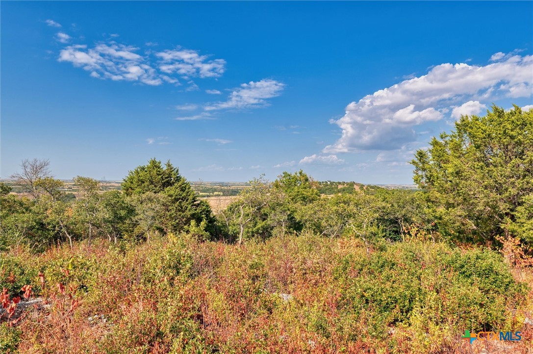 Lot 29 County Road 511 Property Photo 5