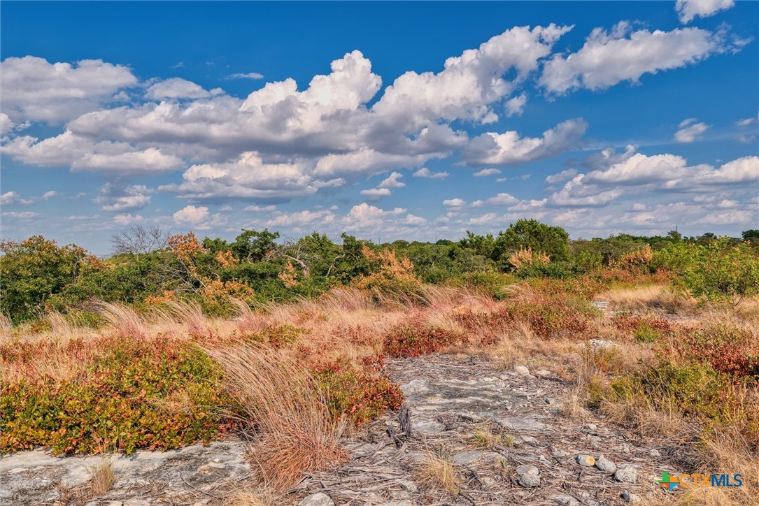 Lot 29 County Road 511 Property Photo 6