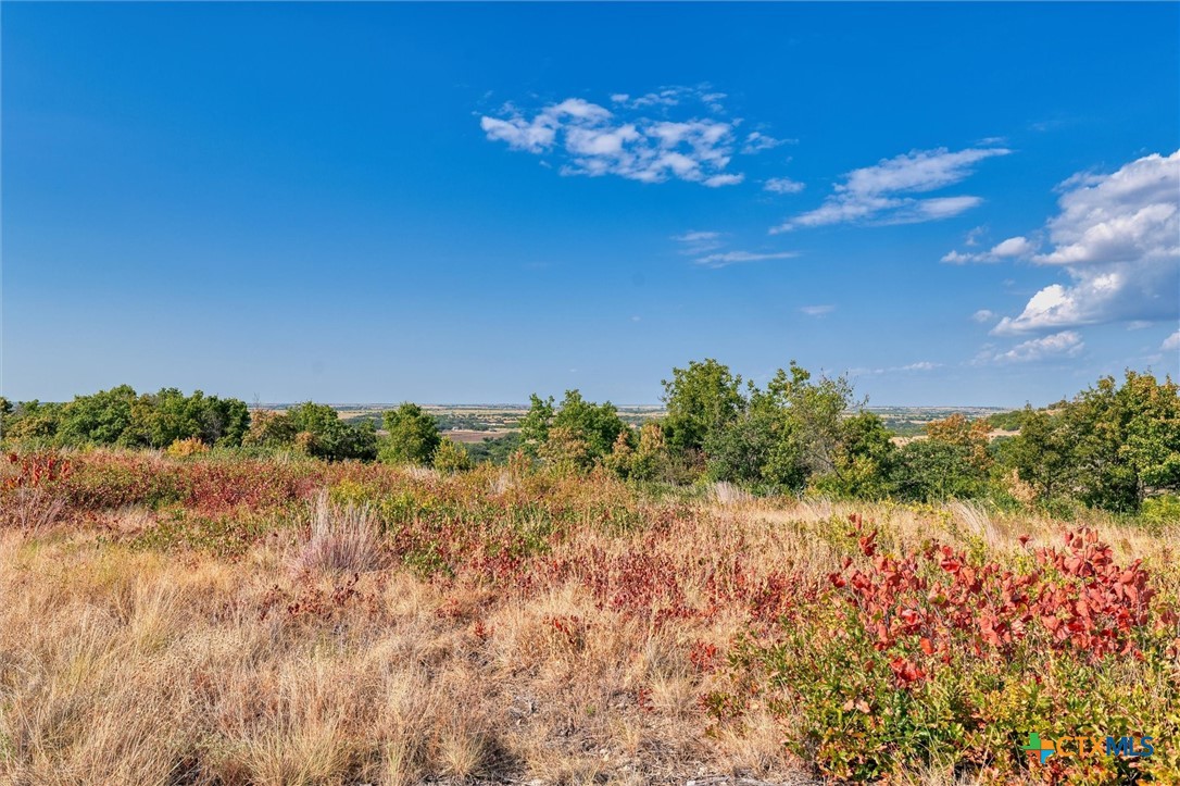 Lot 29 County Road 511 Property Photo 7