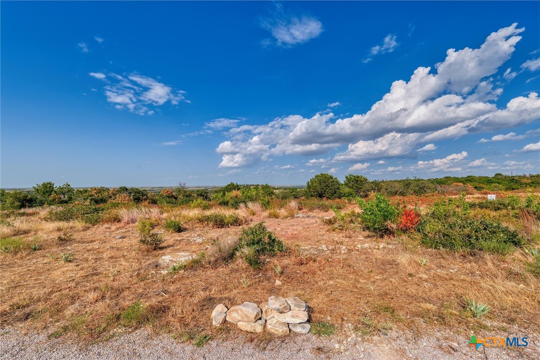 Lot 29 County Road 511 Property Photo 9