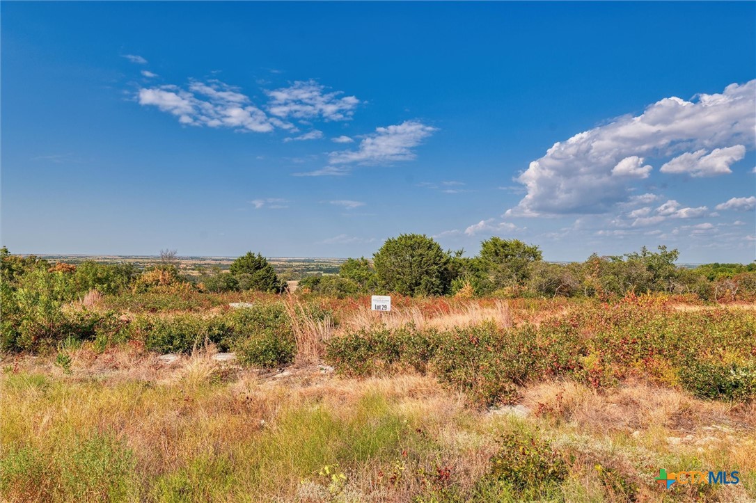 Lot 29 County Road 511 Property Photo 12