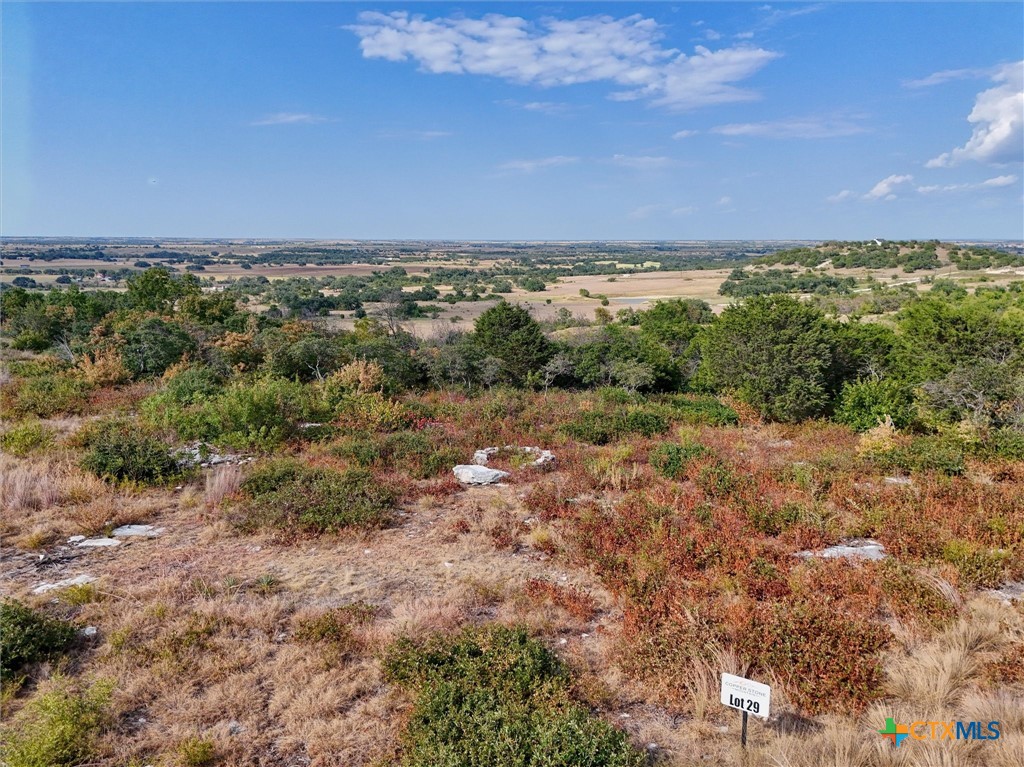 Lot 29 County Road 511 Property Photo 21