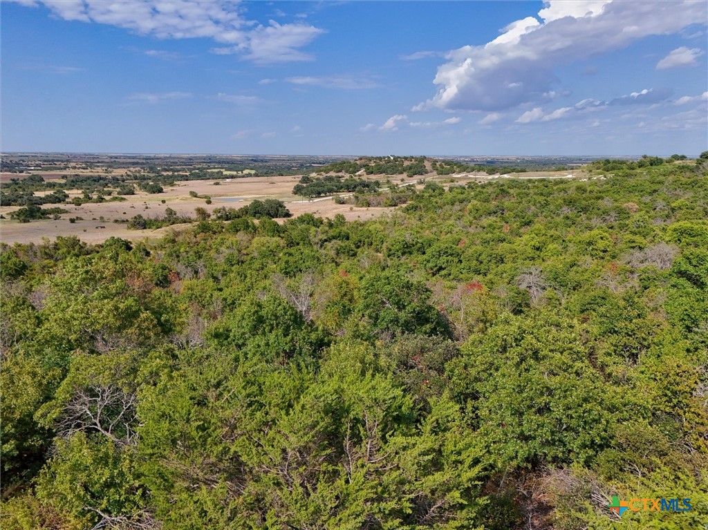 Lot 29 County Road 511 Property Photo 22