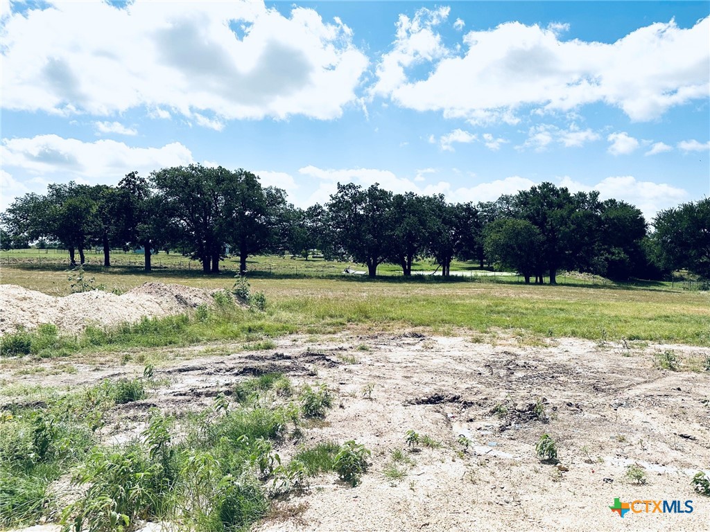 16049 Honey Ridge Drive Property Photo 9